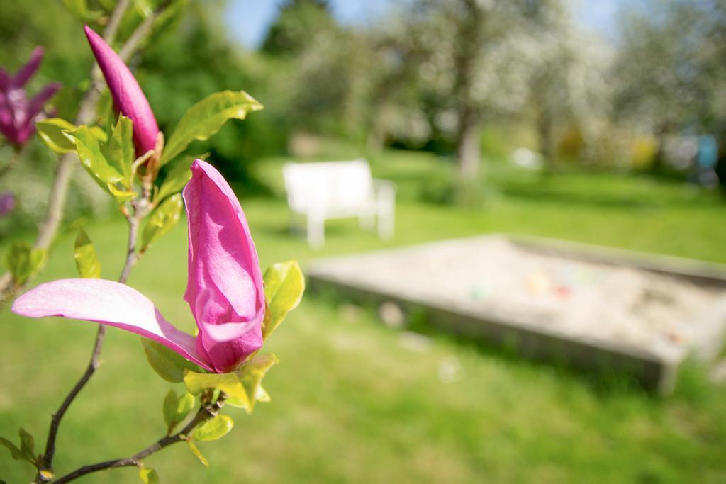 Adelheidshof Otel Magelsen Dış mekan fotoğraf